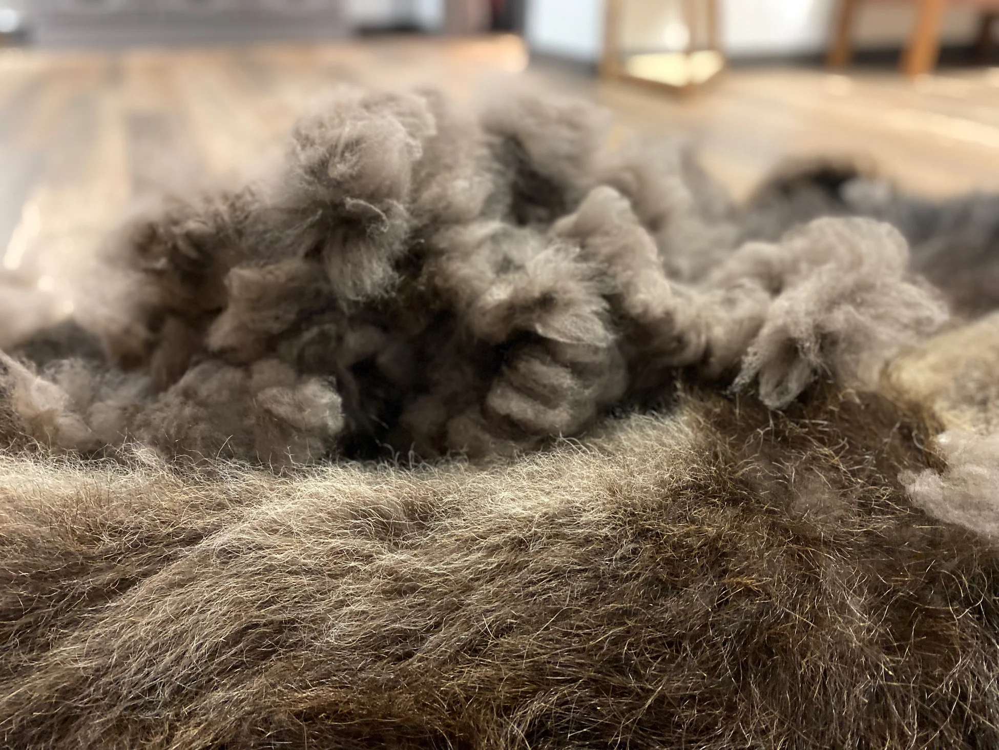 Arctic Luxury, Indigenous Heart